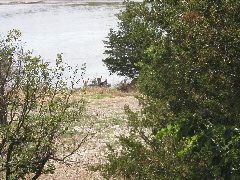 P8020111.JPG