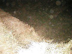 P8020133.JPG