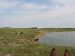 IMG_1916.JPG