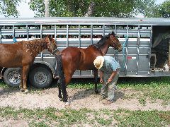 IMG_1920.JPG