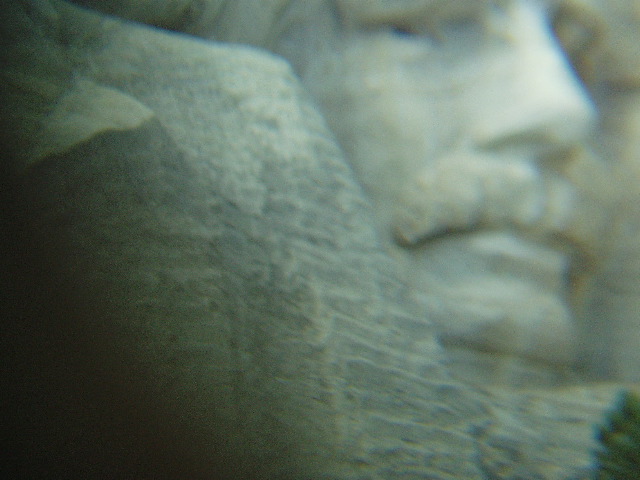 P8090140.JPG