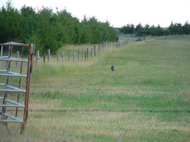 DSCF2166.JPG
