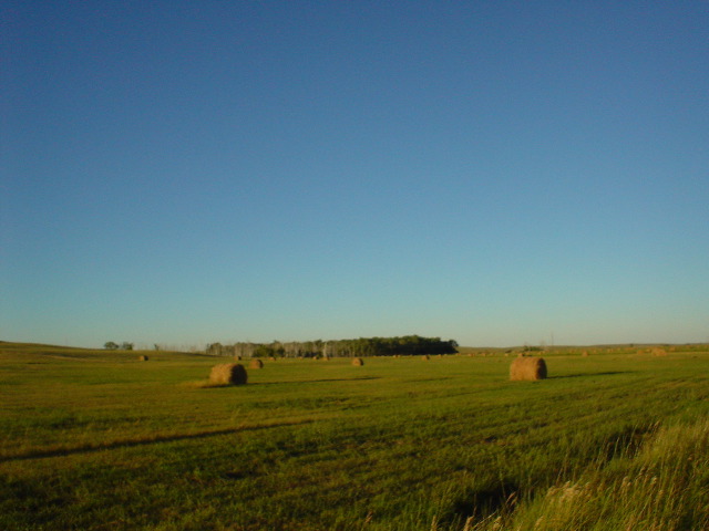 DSC01224.JPG