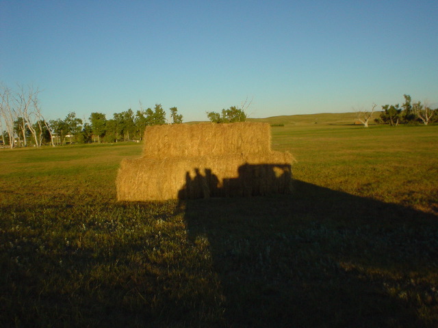 DSC01225.JPG
