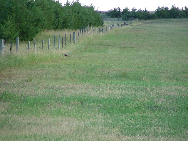 DSCF2167.JPG