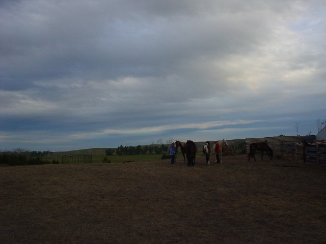 DSC01239.JPG