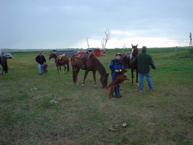 DSC01243.JPG