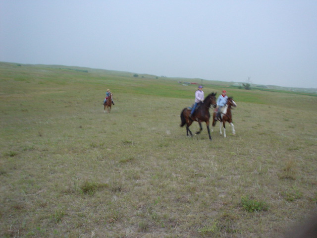 DSC01245.JPG