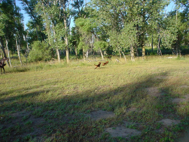 DSC01248.JPG