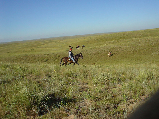 DSC01252.JPG