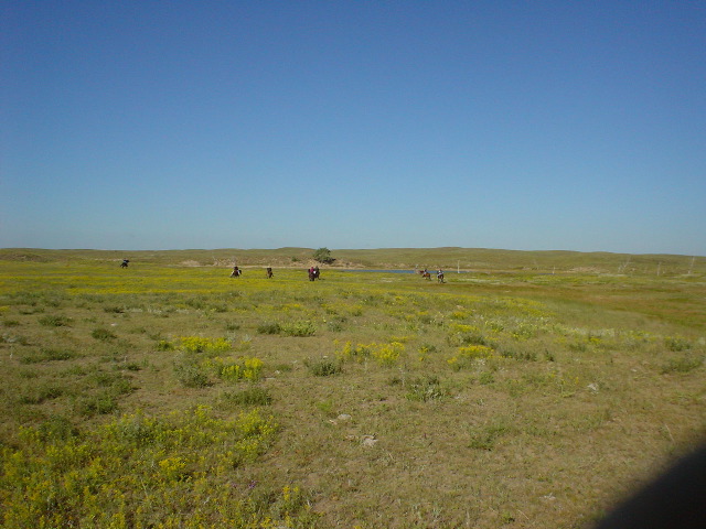 DSC01258.JPG