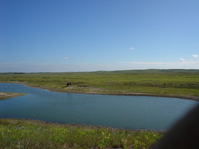 DSC01259.JPG