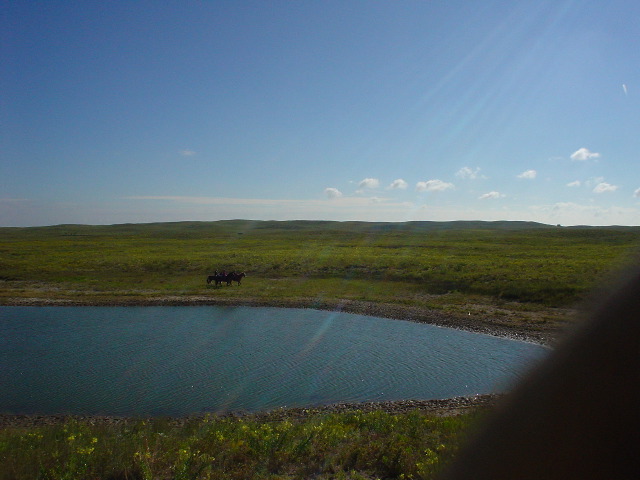 DSC01261.JPG