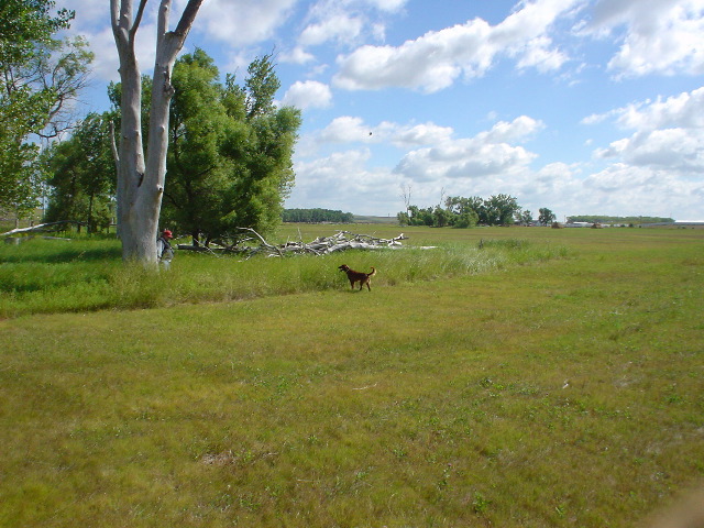 DSC01264.JPG