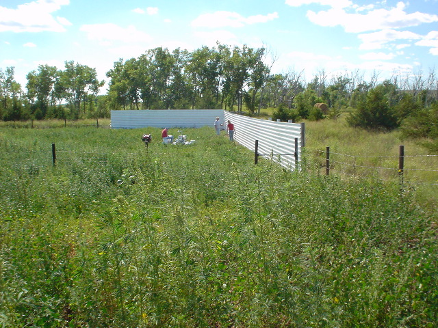 DSC01283.JPG