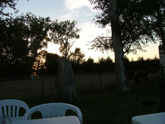 DSCF2175.JPG