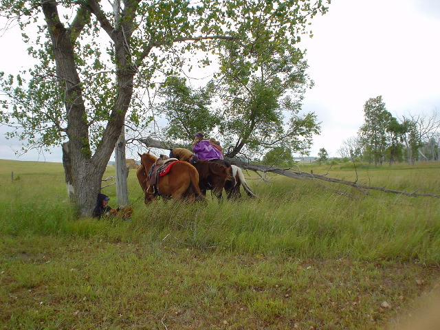 DSC01322.JPG