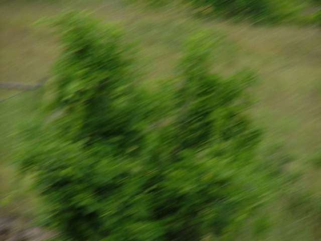 DSCF2212.JPG