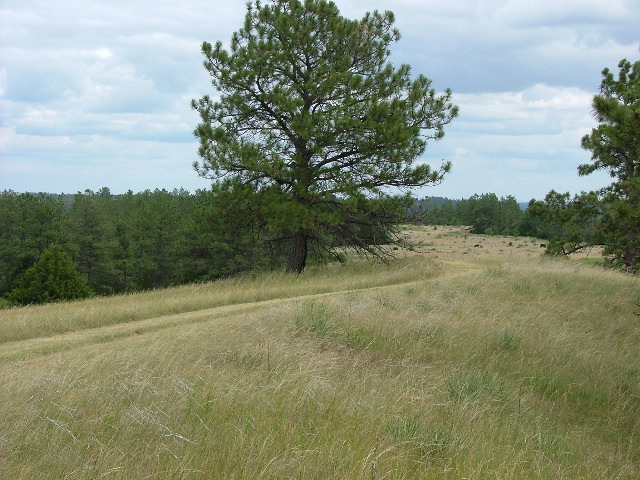 DSCF2216.JPG