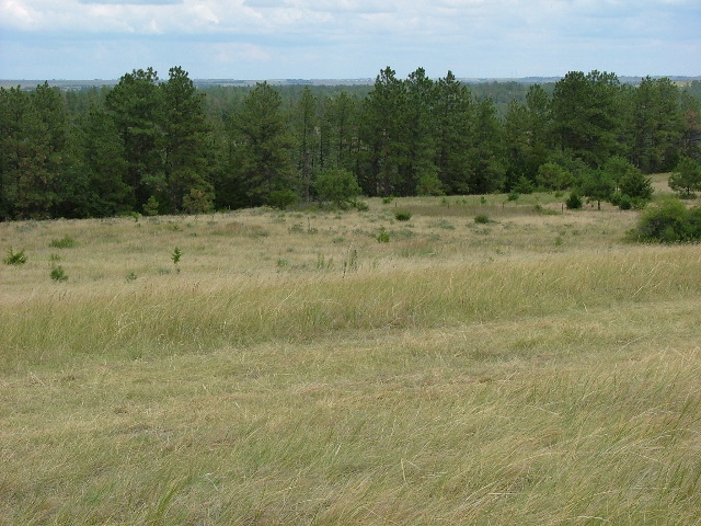 DSCF2217.JPG