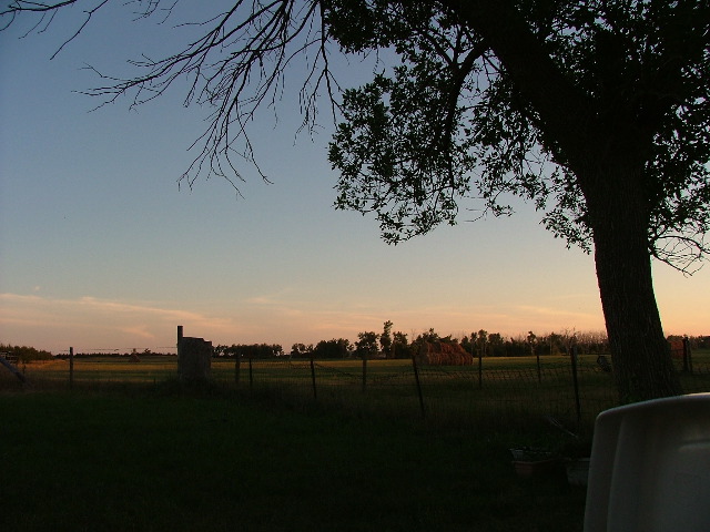DSCF2177.JPG