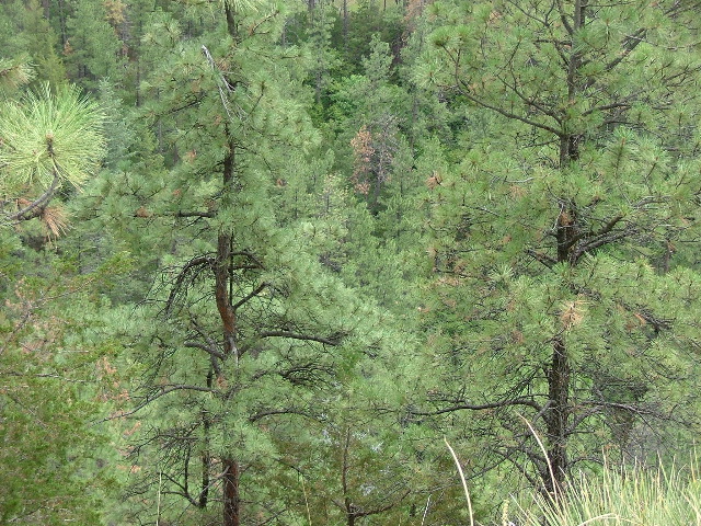 DSCF2218.JPG
