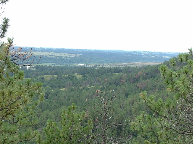 DSCF2219.JPG