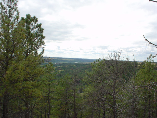 DSC01331.JPG