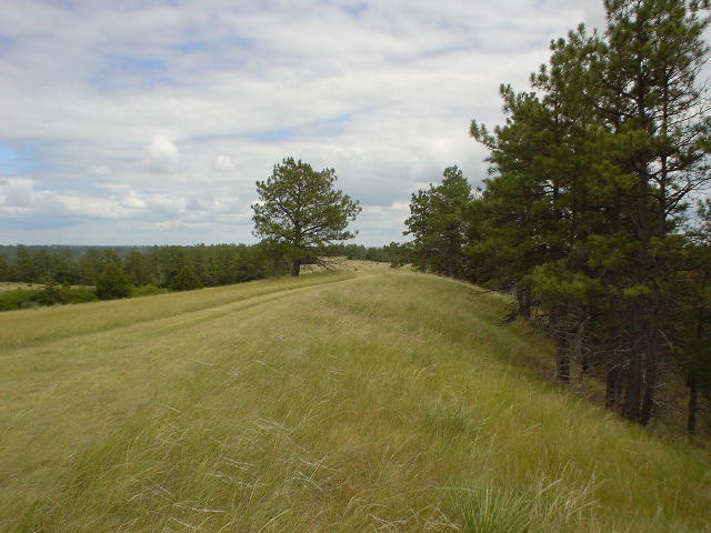 DSC01333.JPG