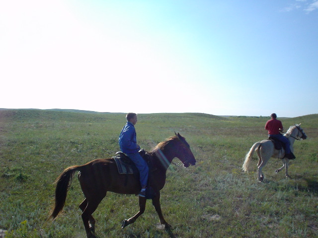 DSC01342.JPG