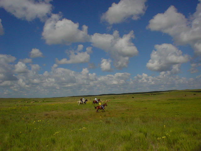 DSC01351.JPG