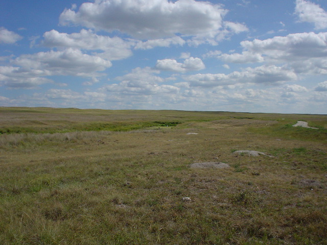 DSC01366.JPG