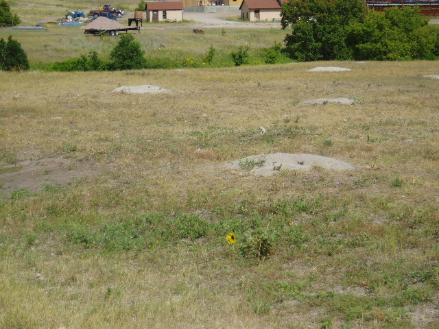 P8130156.JPG
