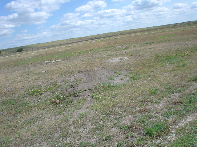 DSC01368.JPG