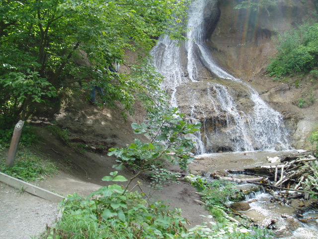 P8130158.JPG