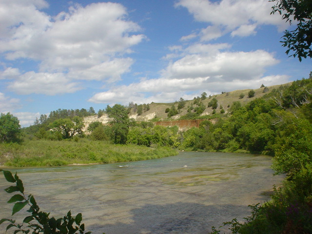 DSC01382.JPG
