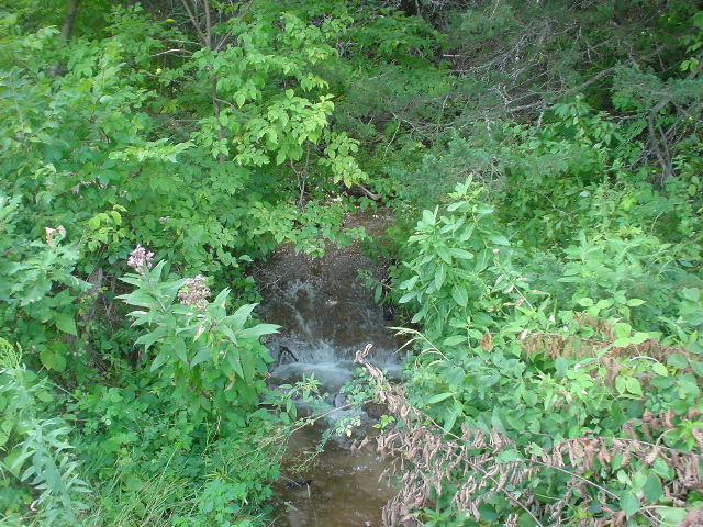 DSC01384.JPG