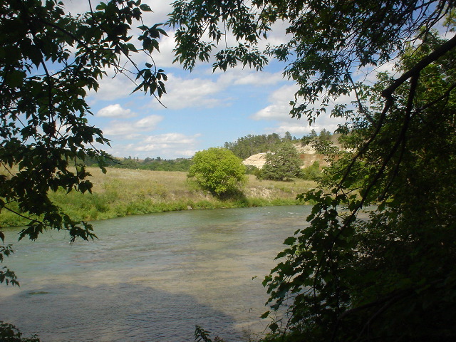 DSC01385.JPG