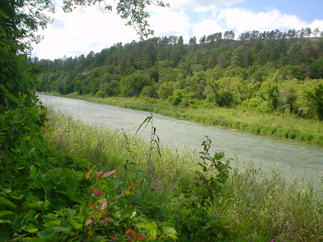 DSC01389.JPG