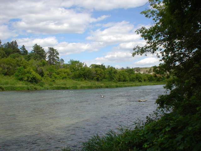 DSC01392.JPG