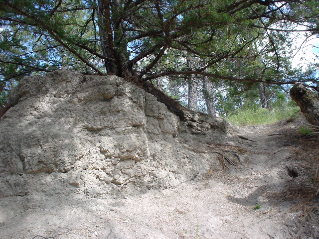 DSC01398.JPG