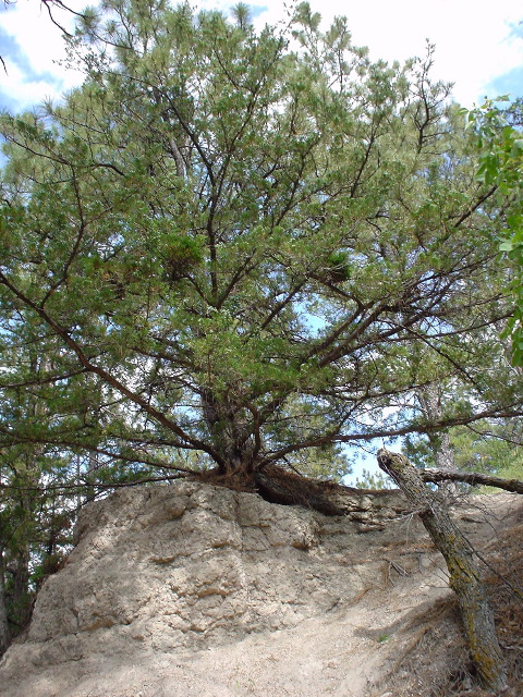 DSC01399.JPG