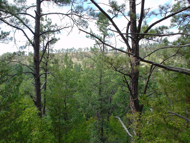 DSC01401.JPG