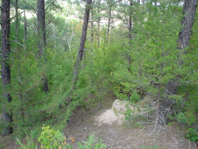 DSC01402.JPG