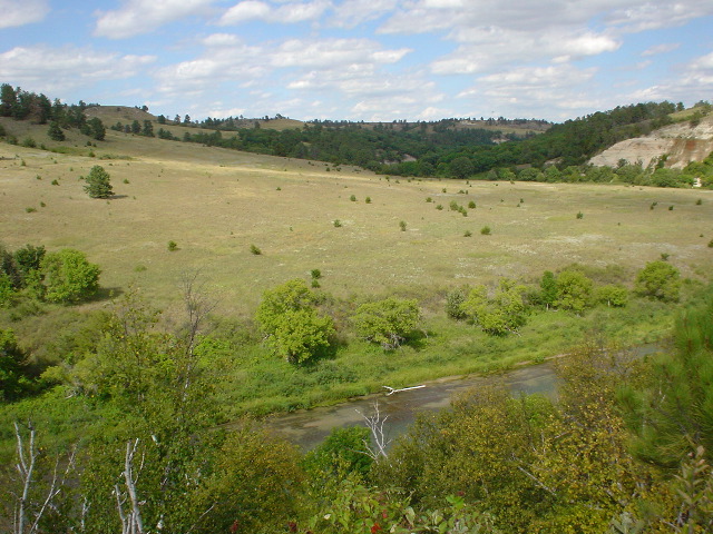 DSC01404.JPG