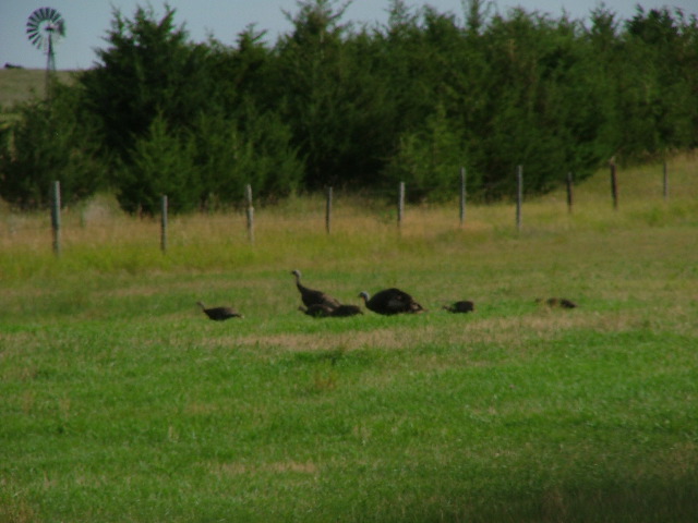 DSCF2186.JPG