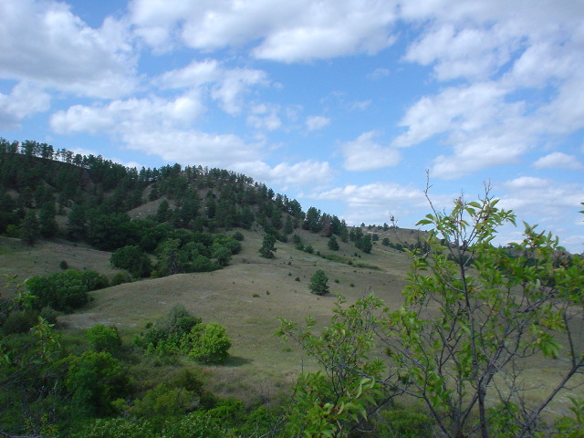DSC01408.JPG