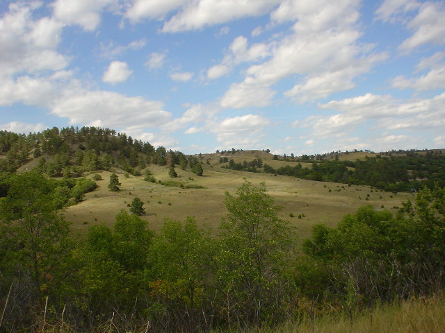 DSC01413.JPG