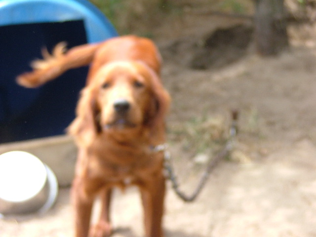 DSCF2229.JPG