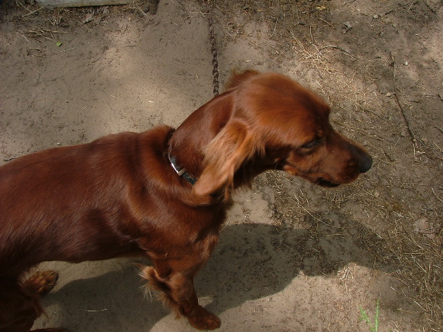 DSCF2232.JPG